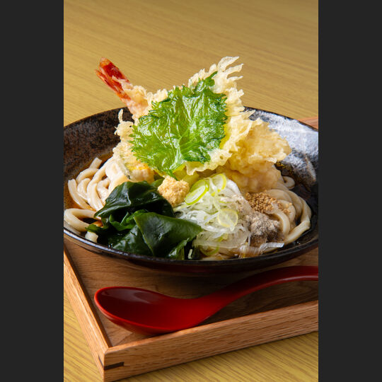 udon_10