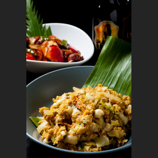 10_srilanka